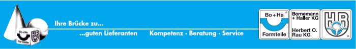Bild_Online.jpg