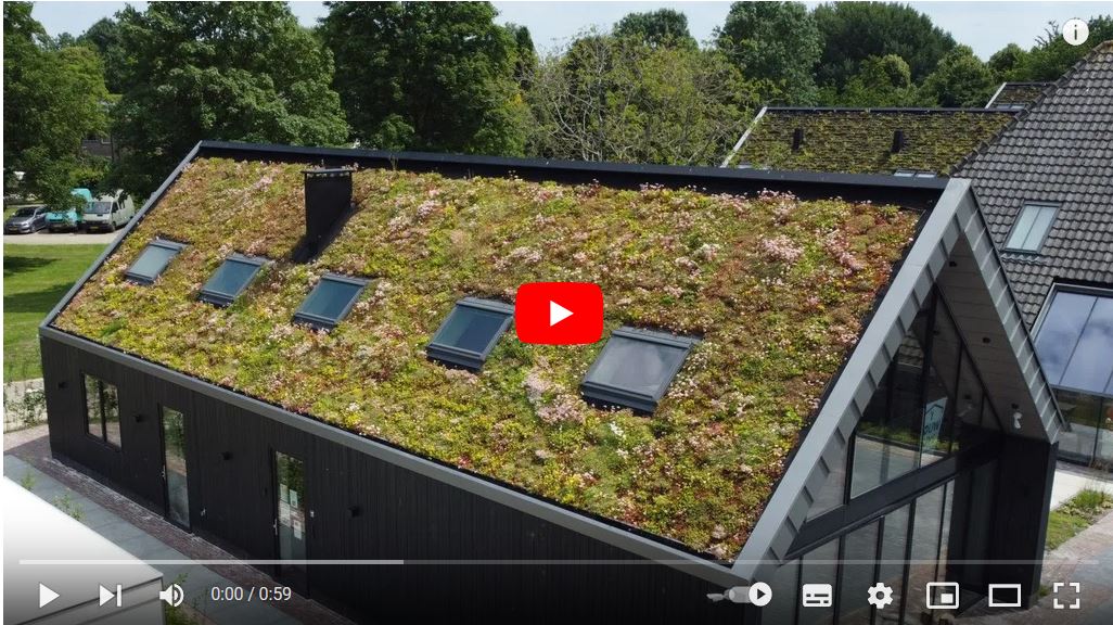 Pitched Green Roof | Houten, the Netherlands